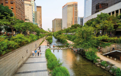 Desarrollo Sustentable Efectivo