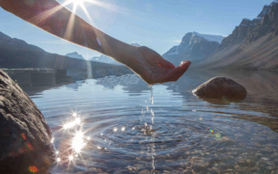 SISTEMA DE GESTIÓN AMBIENTAL MODERNO: Generando valor compartido.